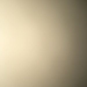 Meet your Posher, Will